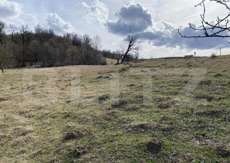 Teren extravilan in suprafata de 7500 mp la poalele Mesesulu - 1