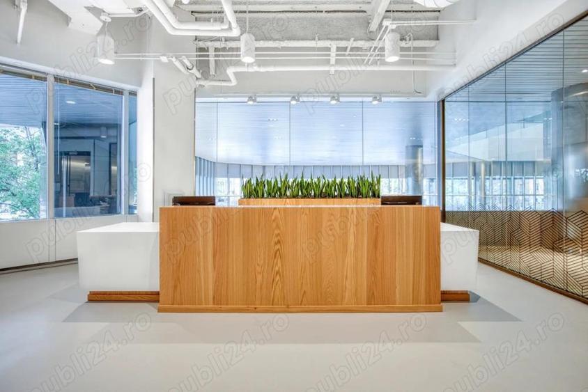 Spa?iu de birou frumos proiectat pentru 5 persoane in Spaces Business Garden - 2