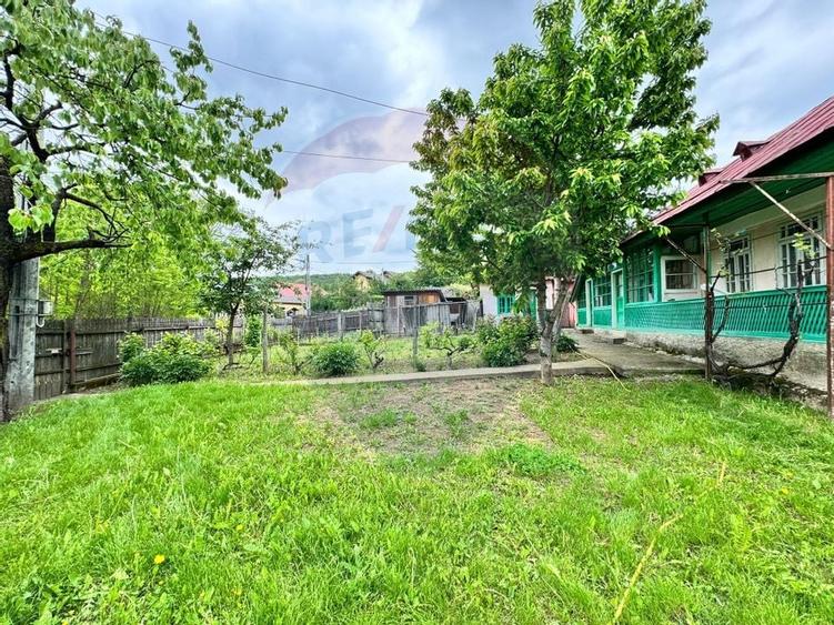 Casă traditionala cu potential de vânzare-HEMEIUS - 3