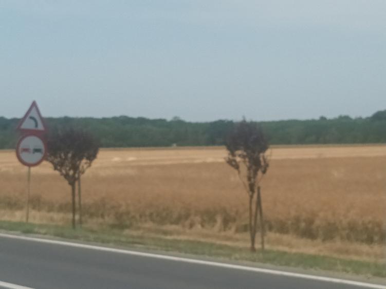 Teren Vanzare Intravilan Branesti - Investitie Zona Industriala Vis a Vis Makita - 24