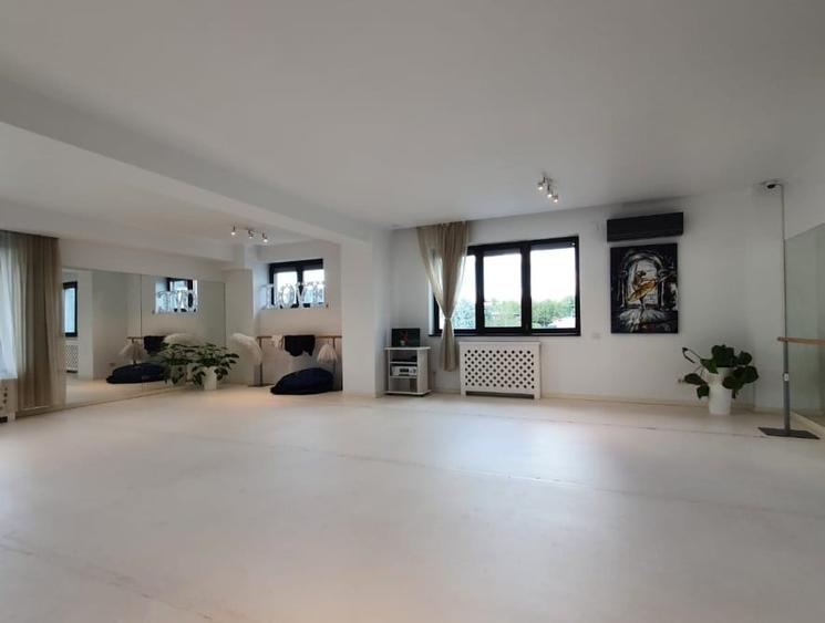 Vila S+P+3E, teren 470 mp, 1000mp ,  Kiseleff - 11