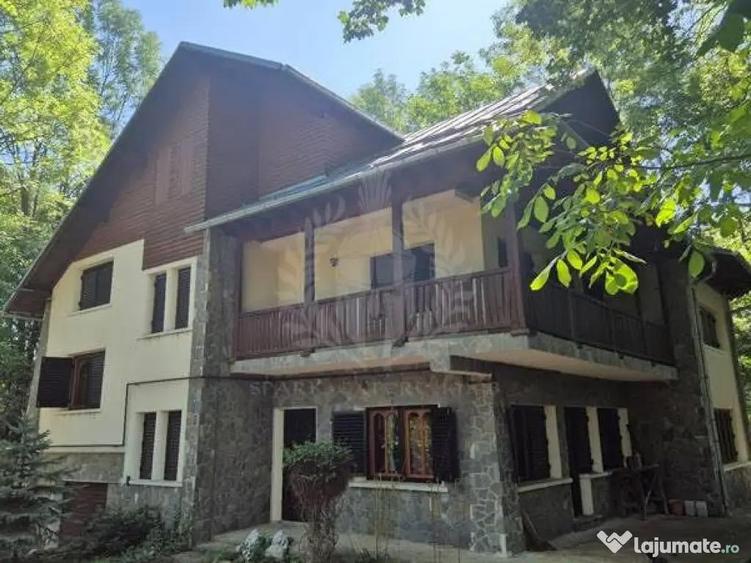 CASA DE VACANTA//CORNU DE JOS - 4