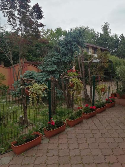 Vila cochetă Pipera, teren 650 mp - 4