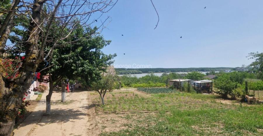 MAHMUDIA-TERENURI SI CASE MAHMUDIA-TERENURI SI CASE