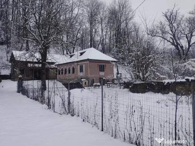 Casa boiereasca Urseiu - 6