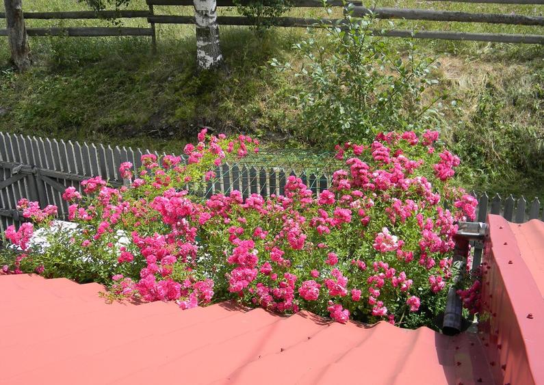 Casa Sunatori, Vatra Dornei, Suceava - 1