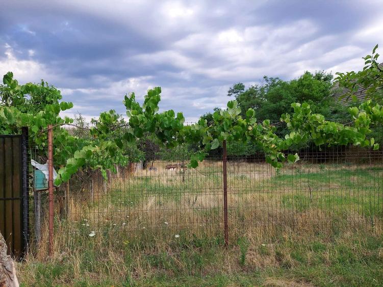 Casa de vanzare Arad - 2