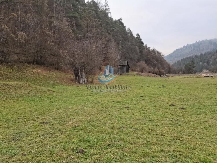 Teren Straja – Pangarati 3560 m, zona de Pensiune - 5