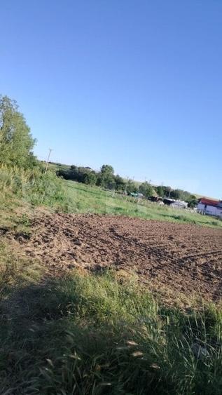 Teren ideal pentru constructie, 2722 mp in Ghercesti - 2