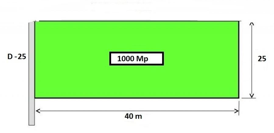 Teren Sisesti Plaiul Nucului 1000 mp New 2025 - 1