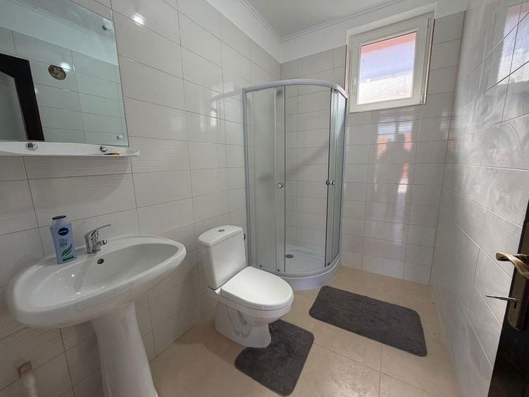 Casa Spatioasa cu Teren Generos Sudrias, Com. Traian Vuia - 4