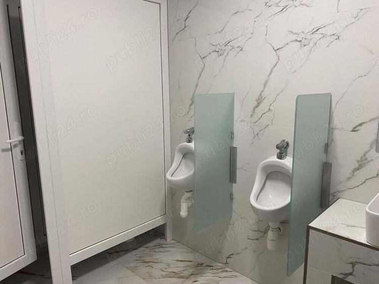 Spatiu SAD, Hala, depozit, Calea Aradului 246 - 486 mp - 3