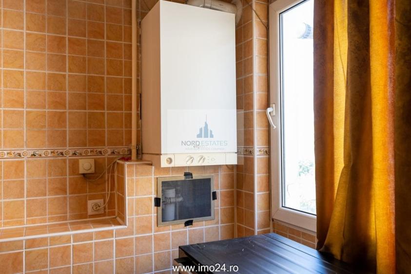 Ultracentral-Teatrul National, Apartament cu terasa-Hotelier-Locuinta - 6