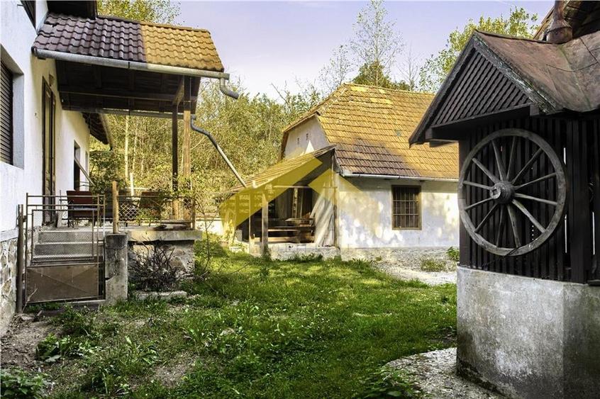 Casa cu padure de vanzare in Savarsini - 18