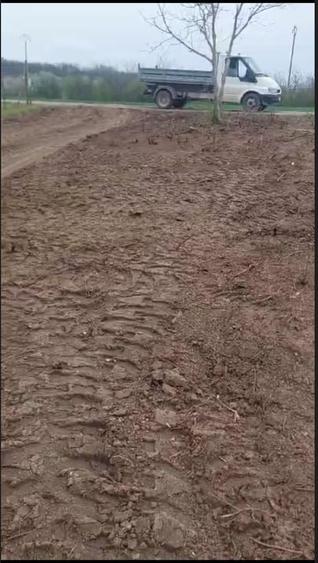 Teren de vanzare Comuna Comana-Giurgiu - 6