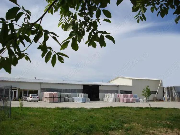 2 Hale cu birouri, vestiare, sala de mese si grupuri sanitare, teren 8868mp, E60, Tileagd BH, - 3