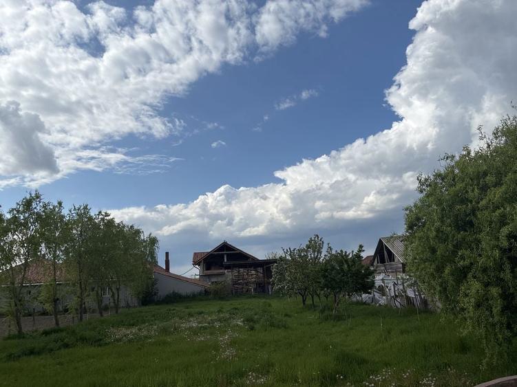 Casa de vanzare , Petroasa Mare , la 15 minute de orasul Lugoj - 3