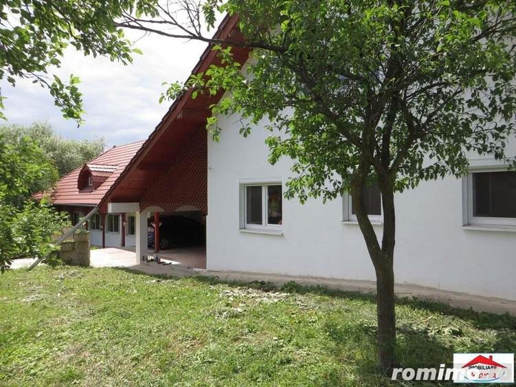 Viile Satu Mare 2 case cu teren 3200 mp - 3