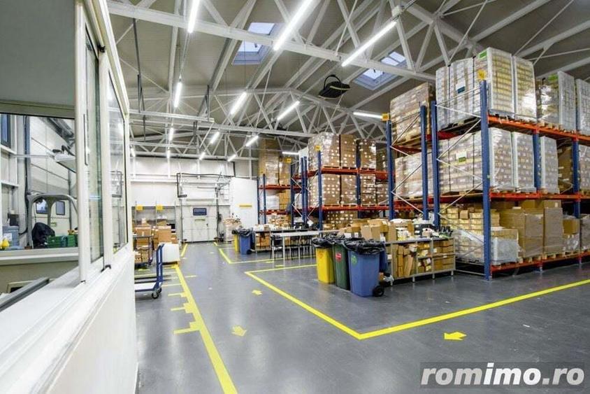 Spatiu depozitare si birouri Tunari - 7