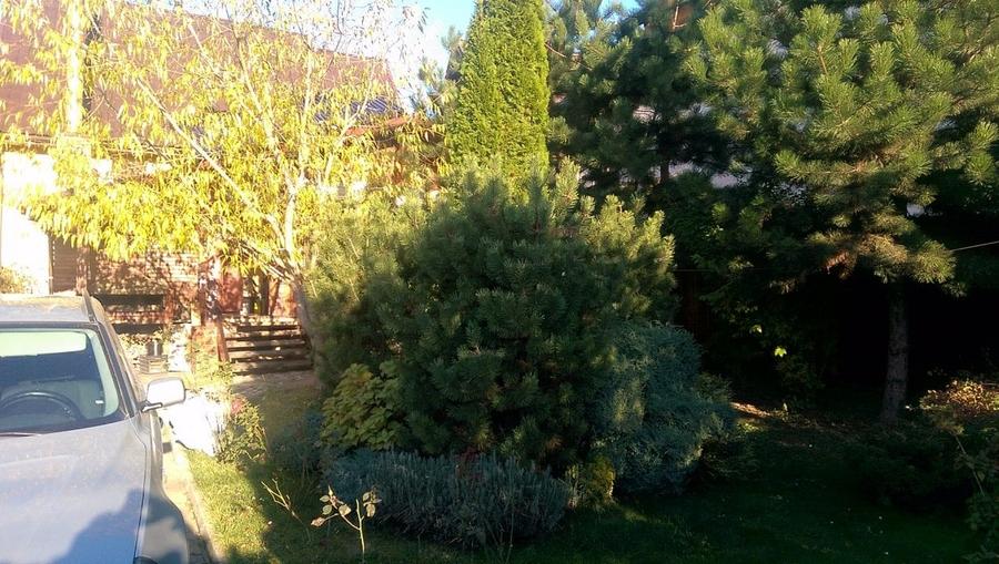 PENSIUNE DE VANZARE - 11