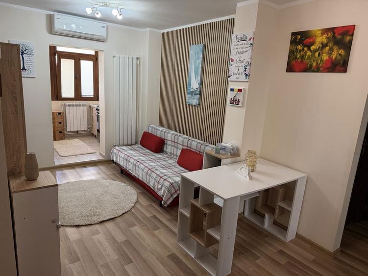 Apartament 2 camere I.C. Frimu - 3