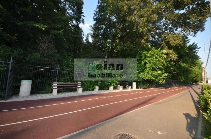 Voluntari - Matei Millo Teren 1250 Mp Utili, D 20 Ml, Utilitati - 2