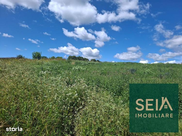 Teren intravilan Fantanele, Bacau 2.000 mp - 2