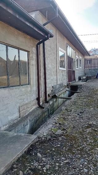 Vand casa cu spatiu comercial la parter - 2
