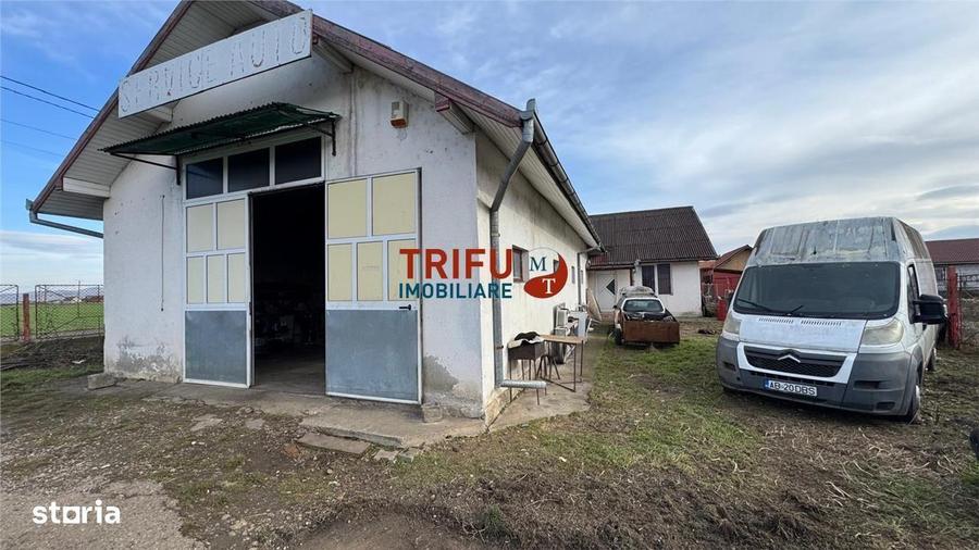 Hala industriala de vanzare in Santimbru - 5