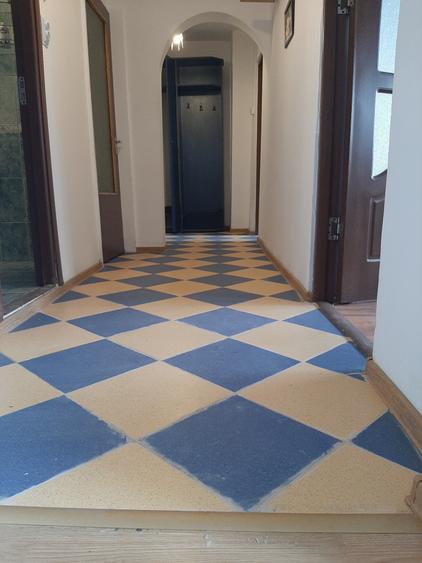 Piata Muncii-Campia Libertatii stradal - 8