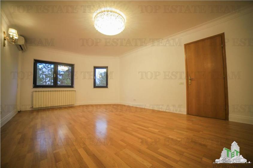 Vila pretabila rezidenta/office Iancu Nicolae - 8