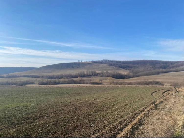 Teren extravilan - 1