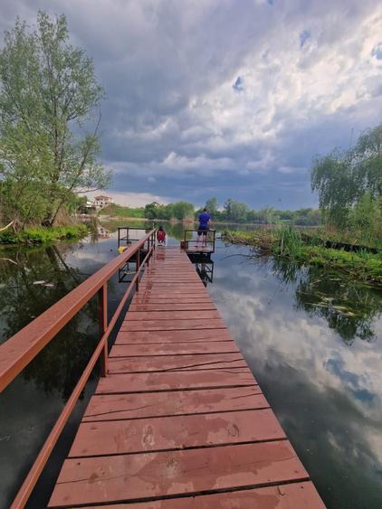 Casă cu 4 camere cu Teren 3000 Mp în Central