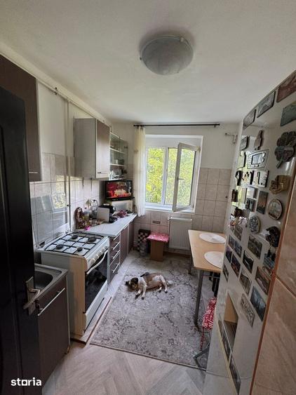Apartament 2 camerede vanzare- zona Brotacei - 4