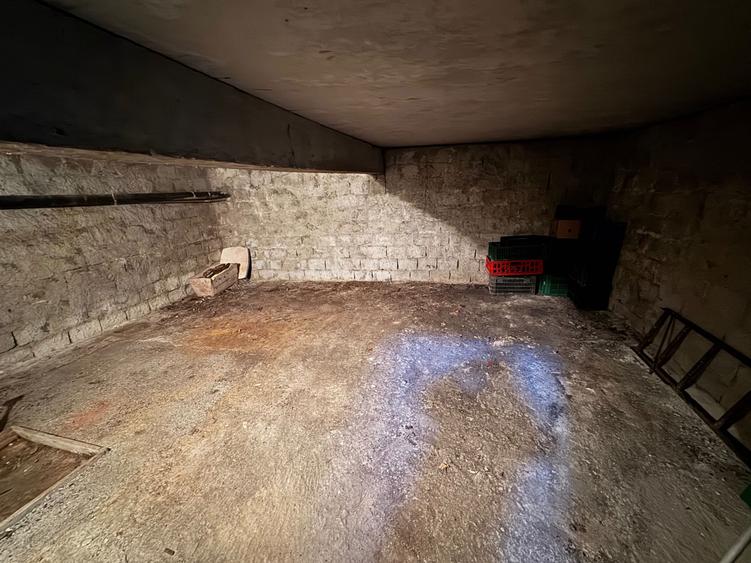 Vanzare/Inchiriere Spatiu Comercial 100mp - Str. Mioritei, Nr:2, Carei - 1