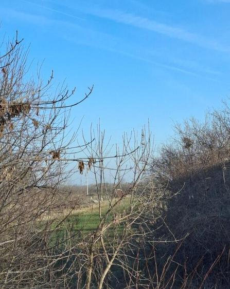 Teren Calugareni Giurgiu 2600 mp - 2