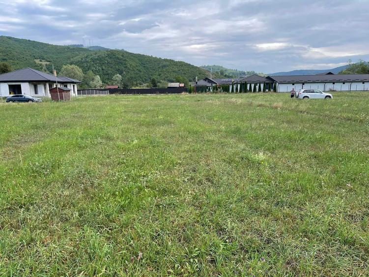 Teren de Vanzare - 3