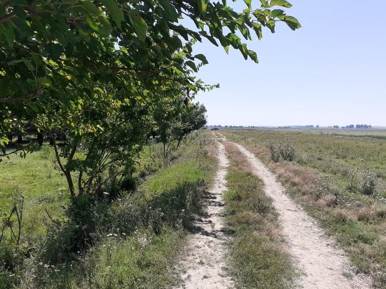 OCAZIE; teren MAHMUDIA 12euro/m.p. Suprafata 5000 m.p. Deschidere la Dunare 48m - 9