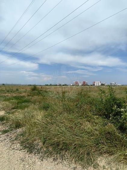 TEREN CARTIER ALBERT//INTRAVILAN - 6