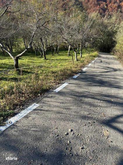 Vand teren extravilan in comuna Cosbuc ,33 arii - 6