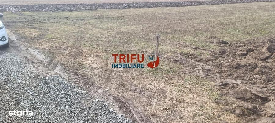 Teren intravilan de vanzare Sard ! - 4