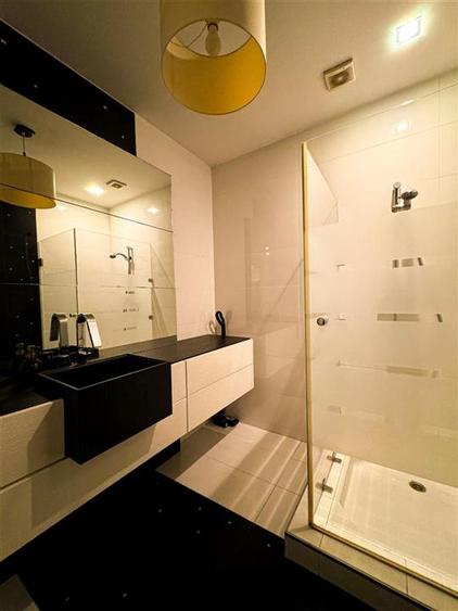 Apartament 2 camere de inchiriat Herastrau Nordului - 16