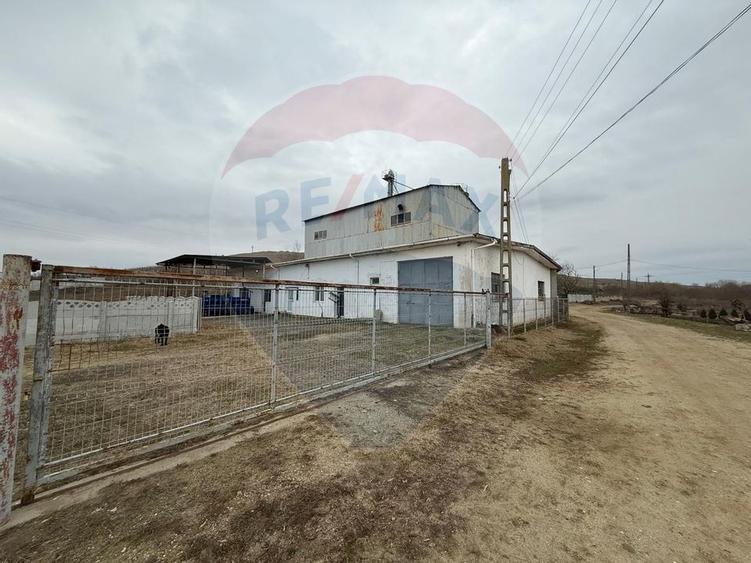 Moara Spatiu Industrial - 2