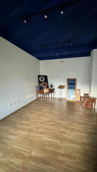 Apartament 3 Camere cu Gradina | Pet Friendly | Bucium (Plopii fara So? - 1