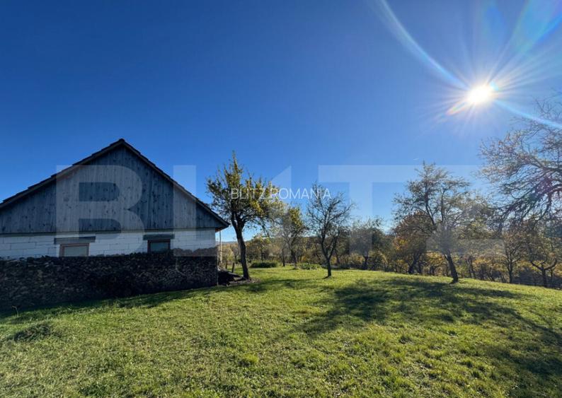 Teren extravilan 2000mp in Tarsa