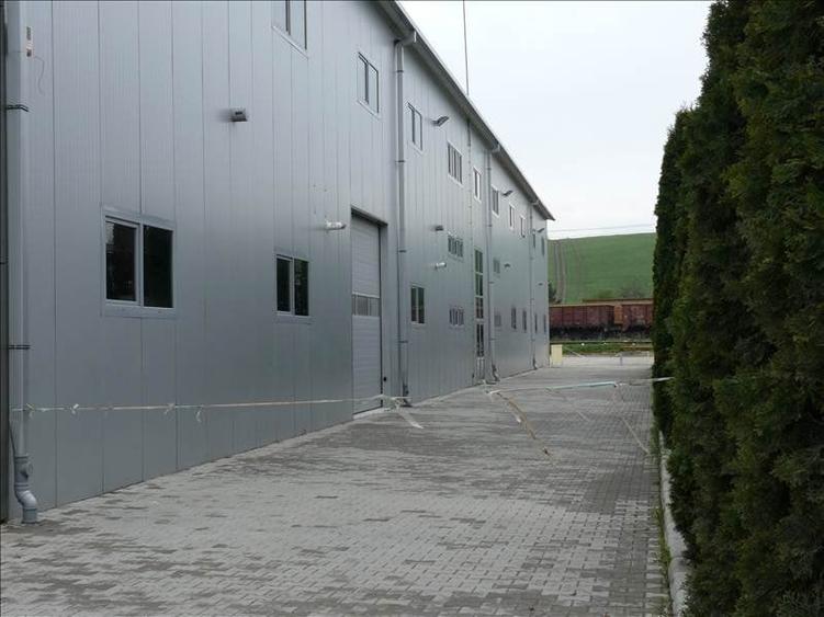 Spatiu comercial cu expunere la artera circulata - 3