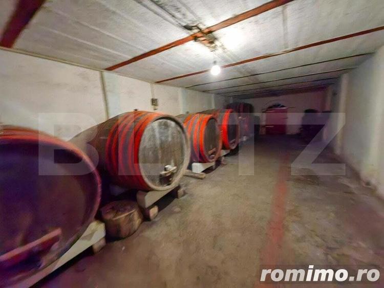 Conac boieresc, 4ha de teren ?i cladire pretabila pentru Agropensiune, zona ?ard - 4