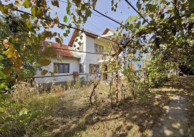 Casa P+1, comuna Dane?ti, 10 km distan?a de Tg. Jiu - 8