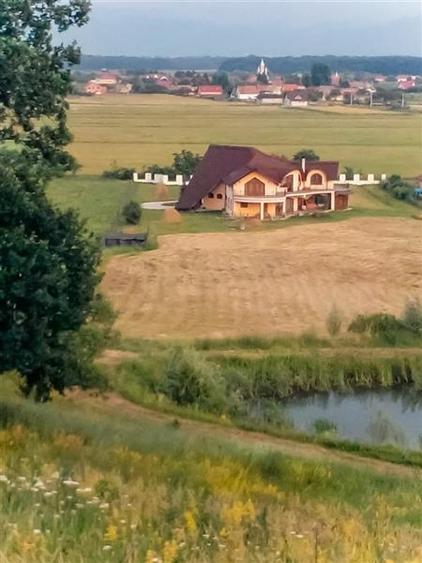 Film & Tur LIVE! Rafinament in cartier linistit, pe 30.000 mp teren paradis, fac - 27