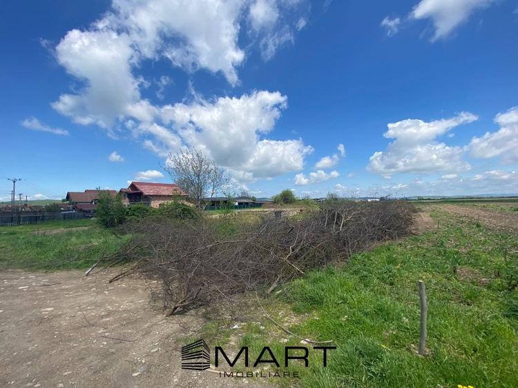 Teren intravilan 7130mp Orlat - 2